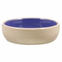 slide 1 of 1, Spot Ethical Stoneware Saucer Dish, 1 ct