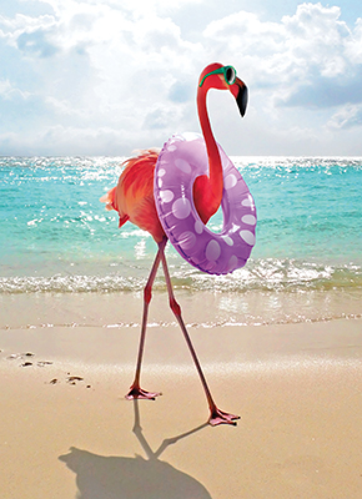 slide 1 of 1, Avanti Card Birthday Flamingo, 1 ct