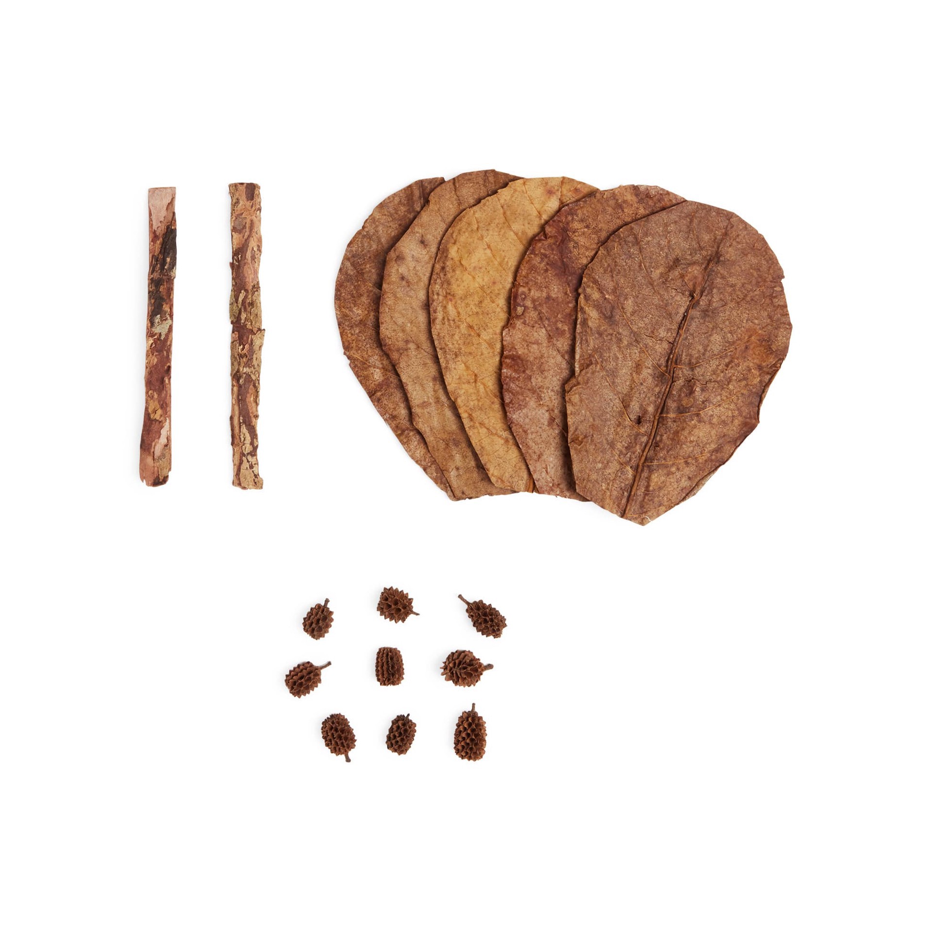 slide 1 of 1, Imagitarium Shrimp Natural Elements Wafers Pack, 1 ct