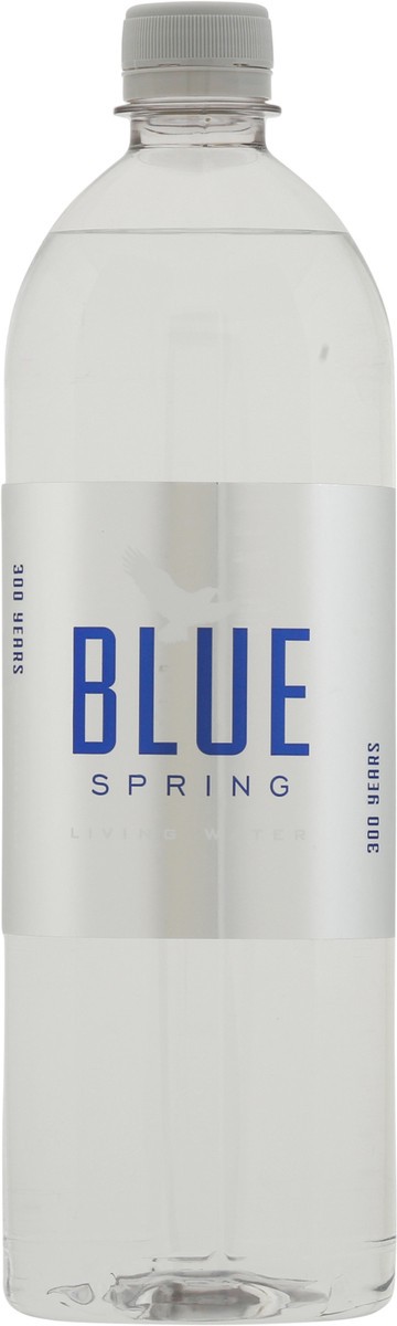 slide 3 of 11, Blue Spring Living Water, 1 liter