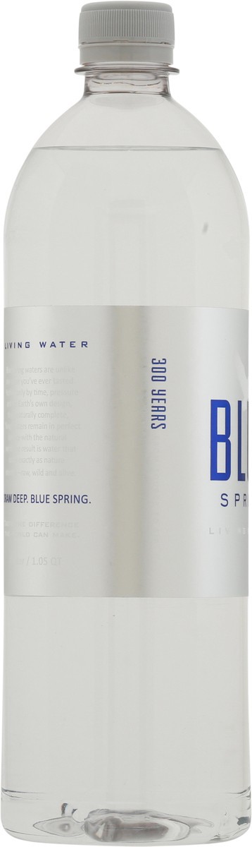 slide 9 of 11, Blue Spring Living Water, 1 liter