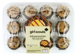 Girl Scout Adventurefuls Cupcakes
