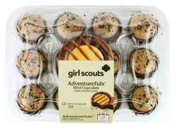 Girl Scout Adventurefuls Cupcakes
