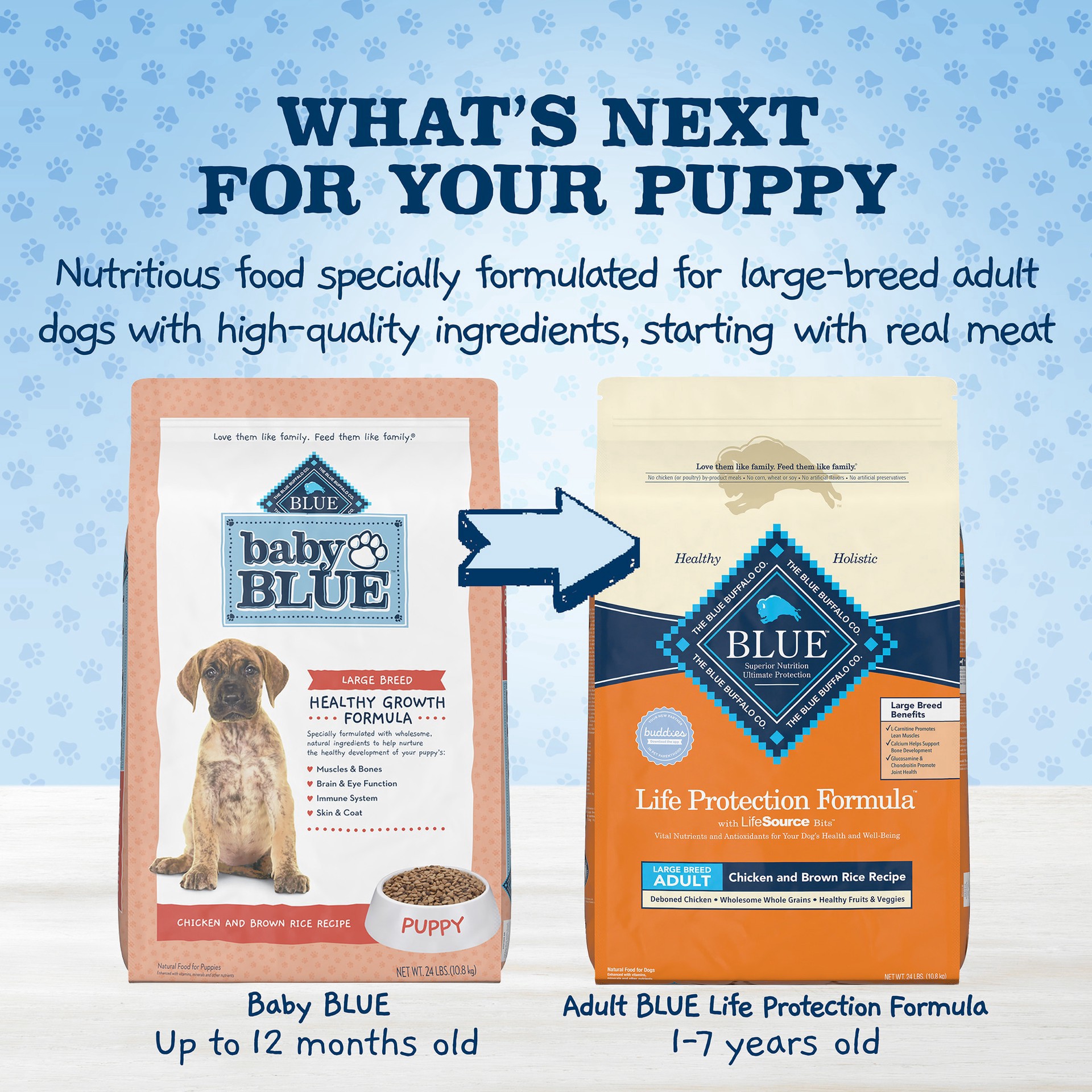 slide 14 of 19, Blue Buffalo Baby BLUE Healthy Growth Formula Natural Large Breed Puppy Dry Dog Food, Chicken and Brown Rice Recipe 24-lb, 24 lb