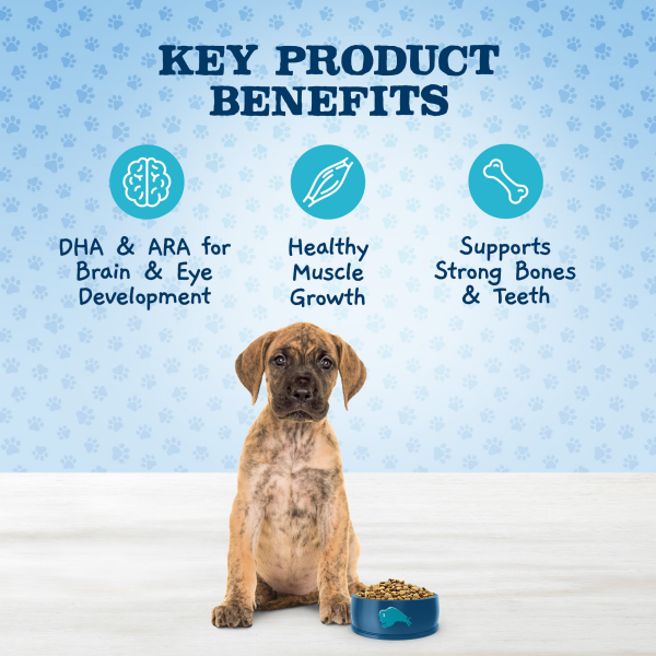 slide 18 of 19, Blue Buffalo Baby BLUE Healthy Growth Formula Natural Large Breed Puppy Dry Dog Food, Chicken and Brown Rice Recipe 24-lb, 24 lb