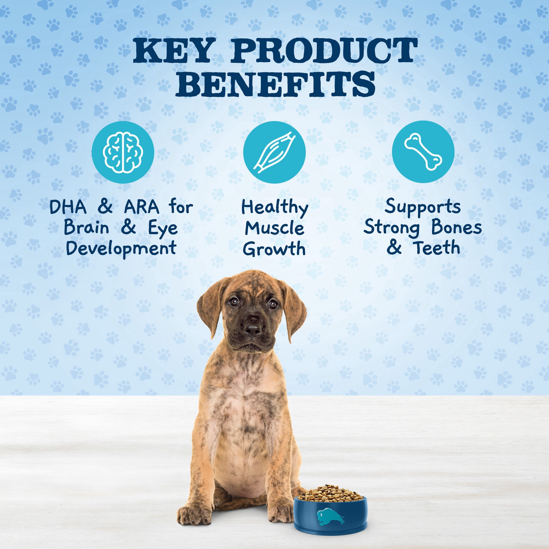 slide 14 of 19, Blue Buffalo Baby BLUE Healthy Growth Formula Natural Large Breed Puppy Dry Dog Food, Chicken and Brown Rice Recipe 24-lb, 24 lb