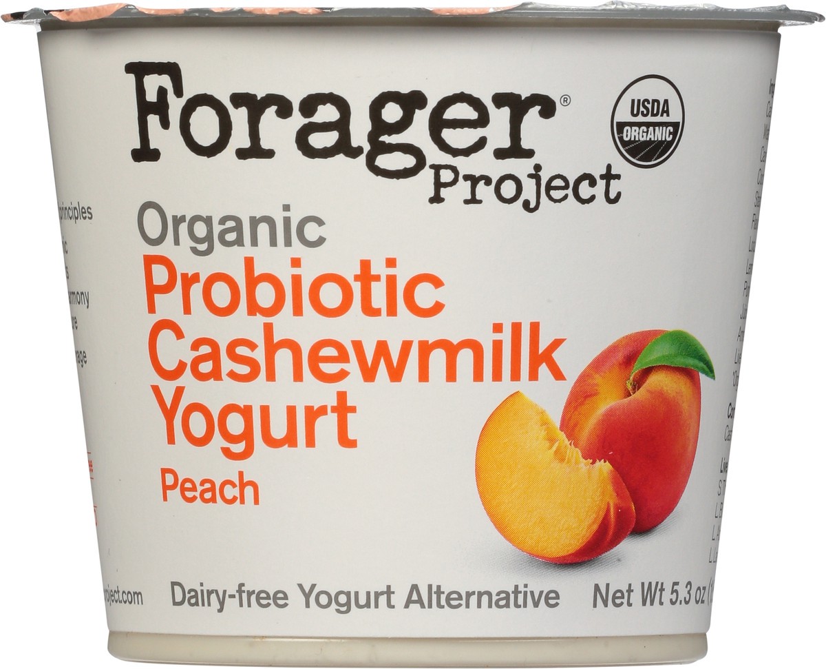 slide 8 of 9, Forager Project Organic Probiotic Peach Cashewmilk Yogurt 5.3 oz, 5.3 oz