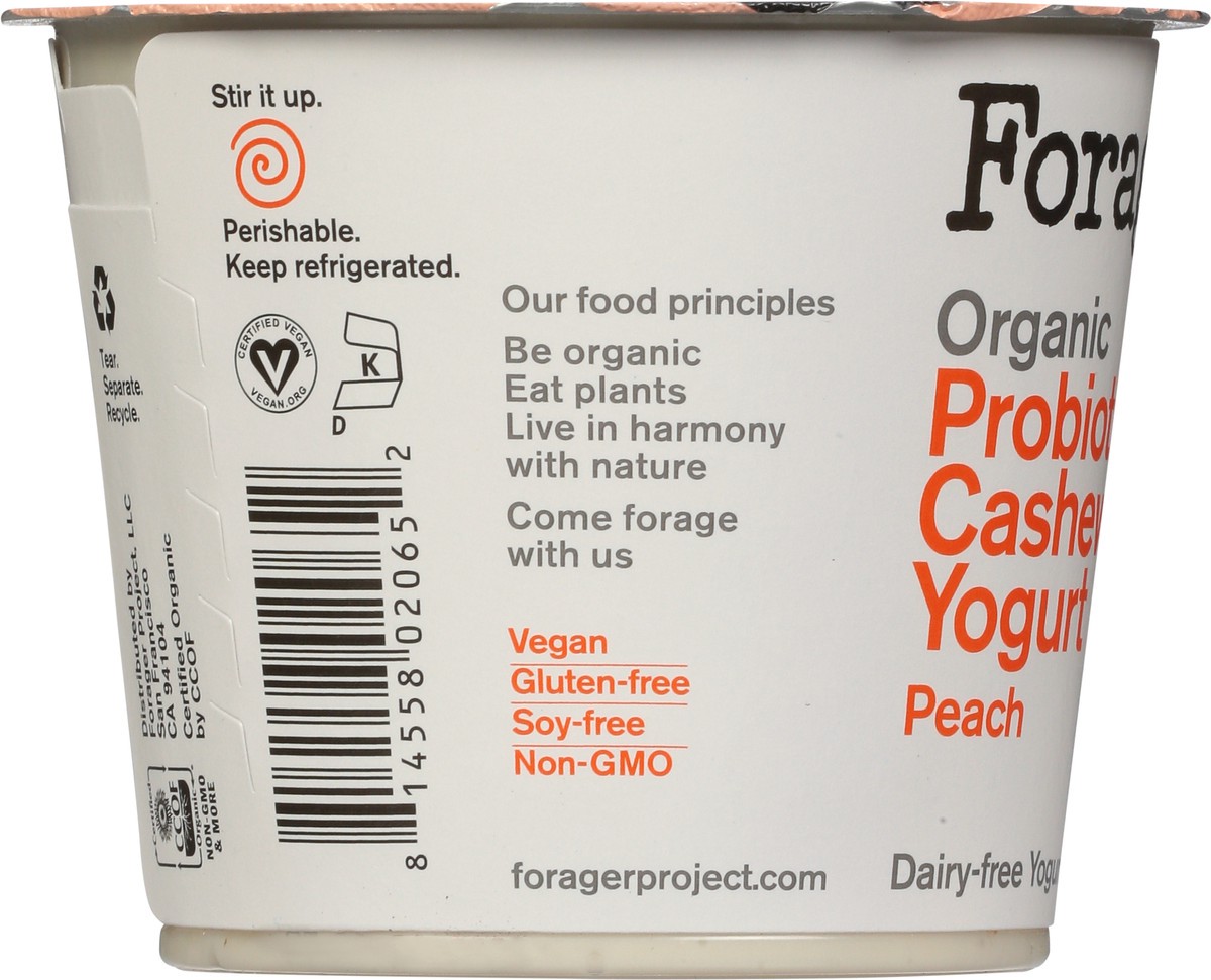 slide 6 of 9, Forager Project Organic Probiotic Peach Cashewmilk Yogurt 5.3 oz, 5.3 oz