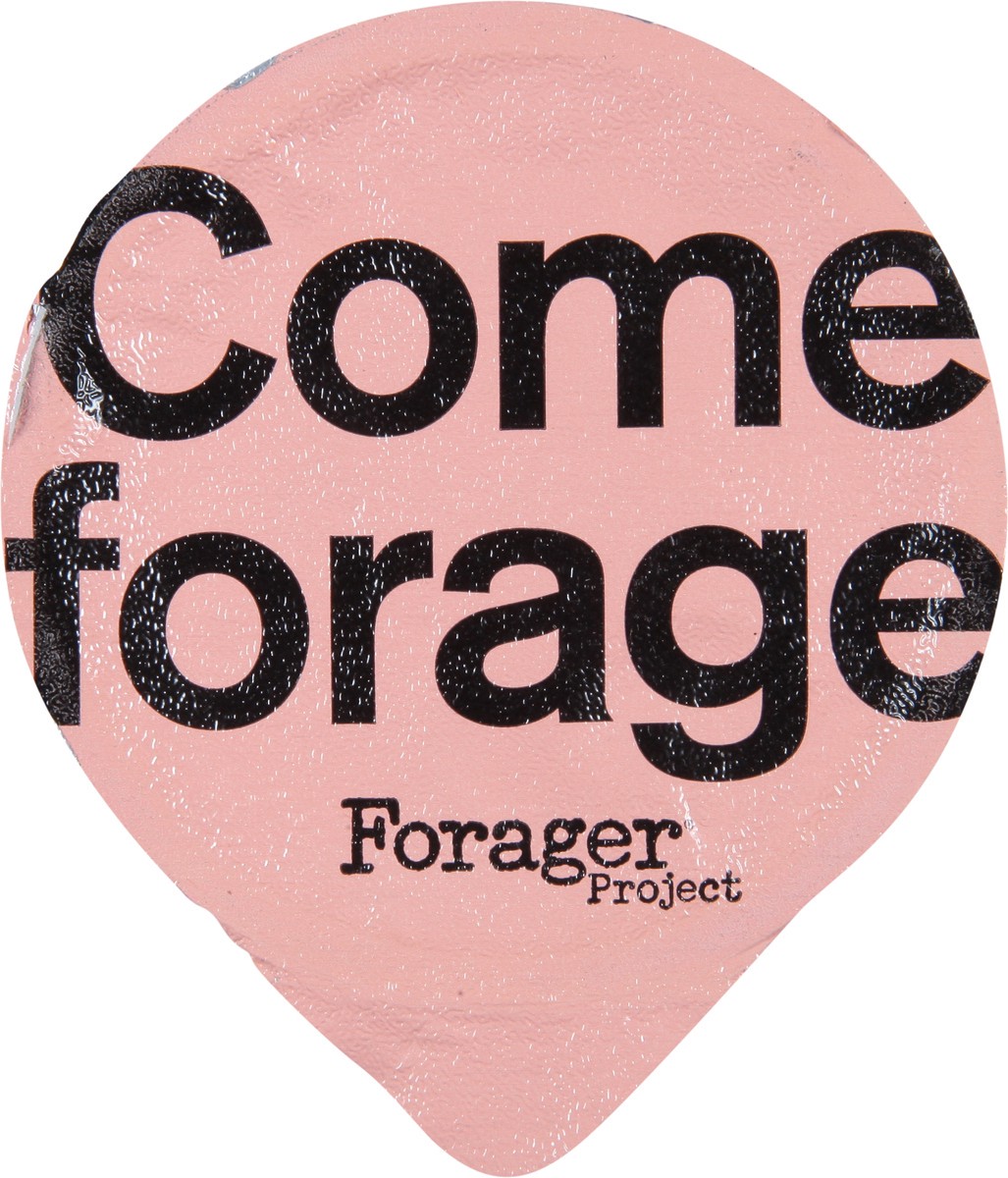 slide 9 of 9, Forager Project Organic Probiotic Peach Cashewmilk Yogurt 5.3 oz, 5.3 oz