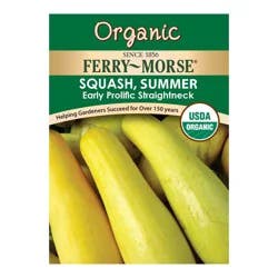 Ferry Morse Early Prolific Straight Squash