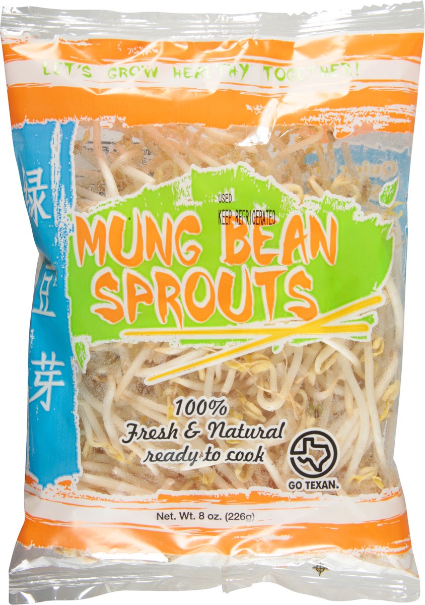 slide 3 of 11, Green Valley Food Corp. Mung Bean Sprouts 8 oz, 8 oz