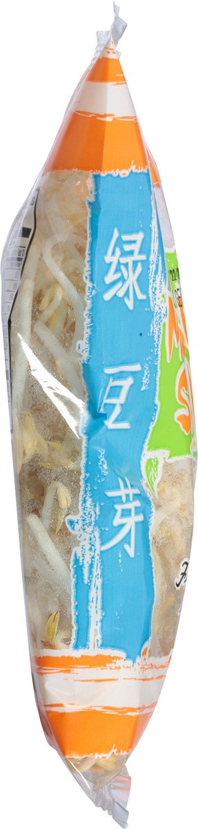 slide 4 of 11, Green Valley Food Corp. Mung Bean Sprouts 8 oz, 8 oz