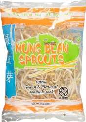 Green Valley Food Corp. Mung Bean Sprouts 8 oz