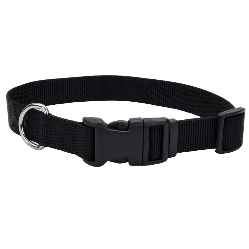 slide 3 of 4, Alliance Black Large Dog Collar, 1 ct