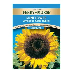 Ferry Morse Sunflower