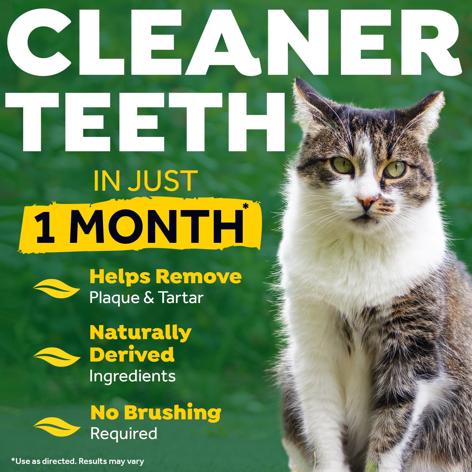 slide 6 of 9, TropiClean Fresh Breath No Brushing Clean Teeth Dental & Oral Care Gel for Cats, 2oz, 1 ct