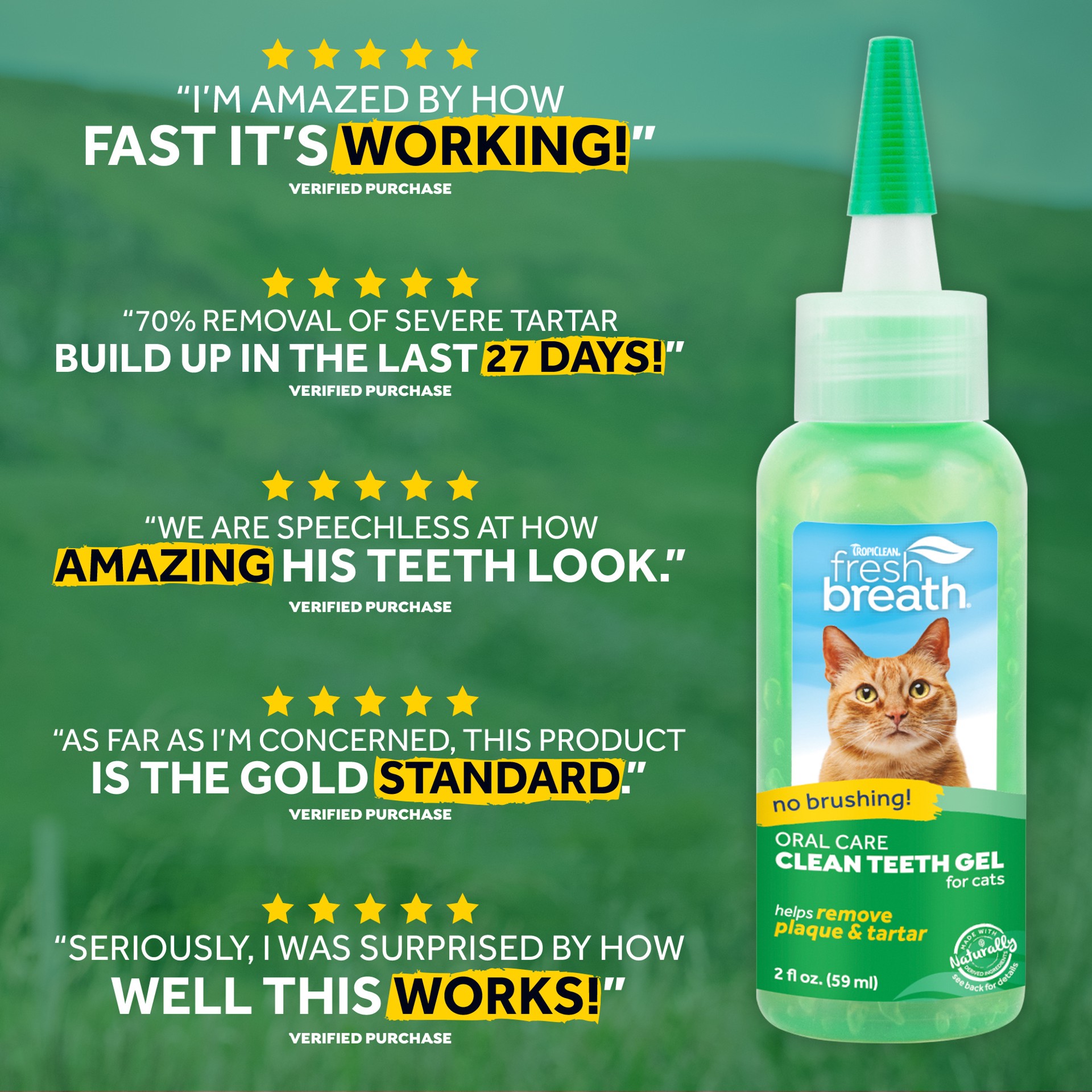 slide 7 of 9, TropiClean Fresh Breath No Brushing Clean Teeth Dental & Oral Care Gel for Cats, 2oz, 1 ct