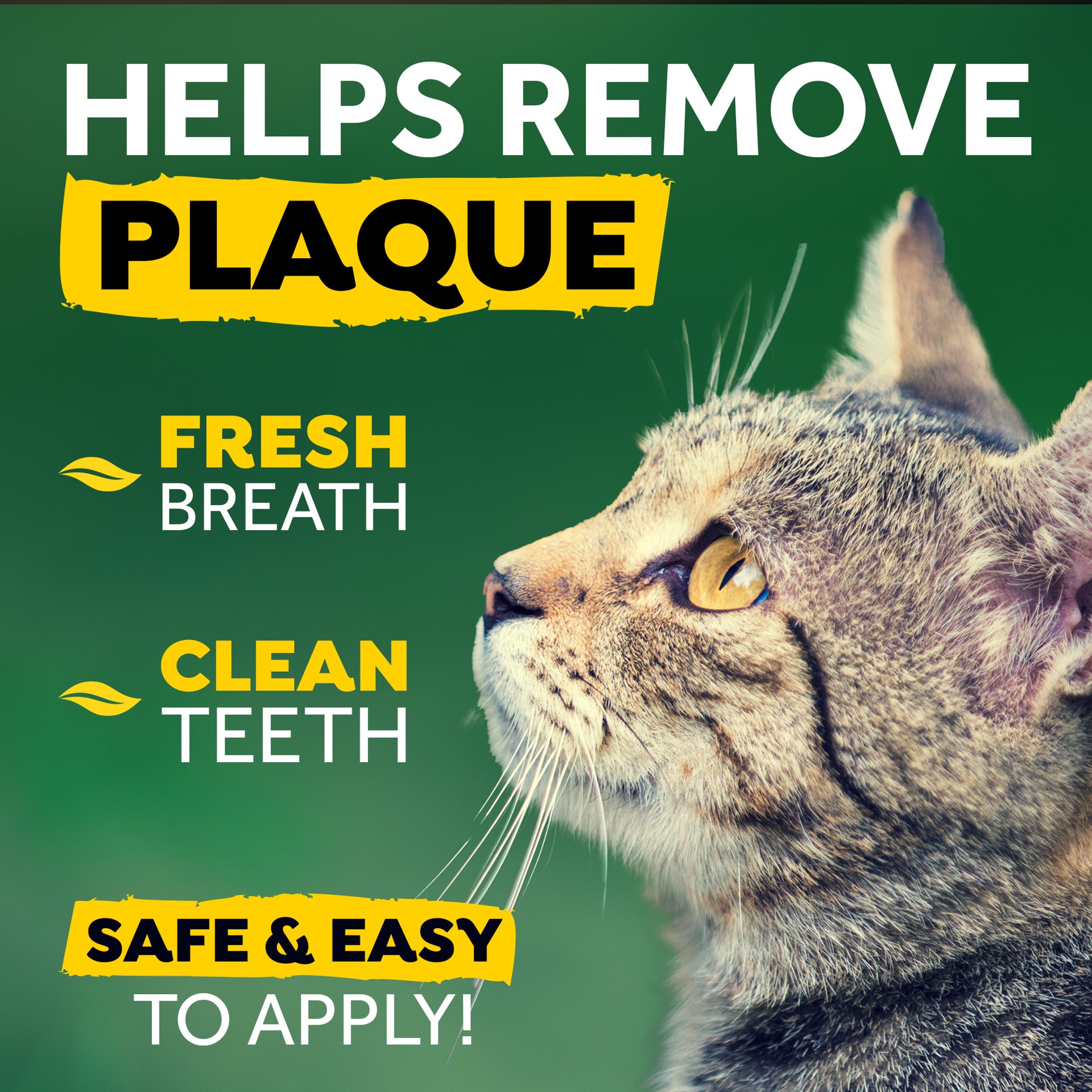 slide 3 of 9, TropiClean Fresh Breath No Brushing Clean Teeth Dental & Oral Care Gel for Cats, 2oz, 1 ct