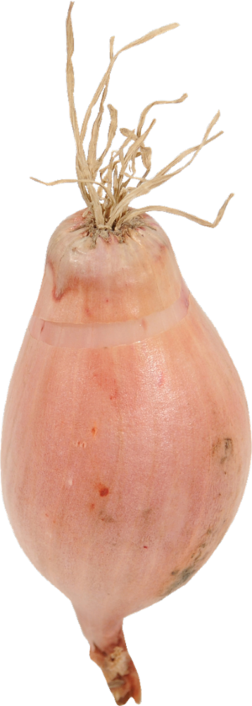 slide 1 of 1, Shallots, 1 ct