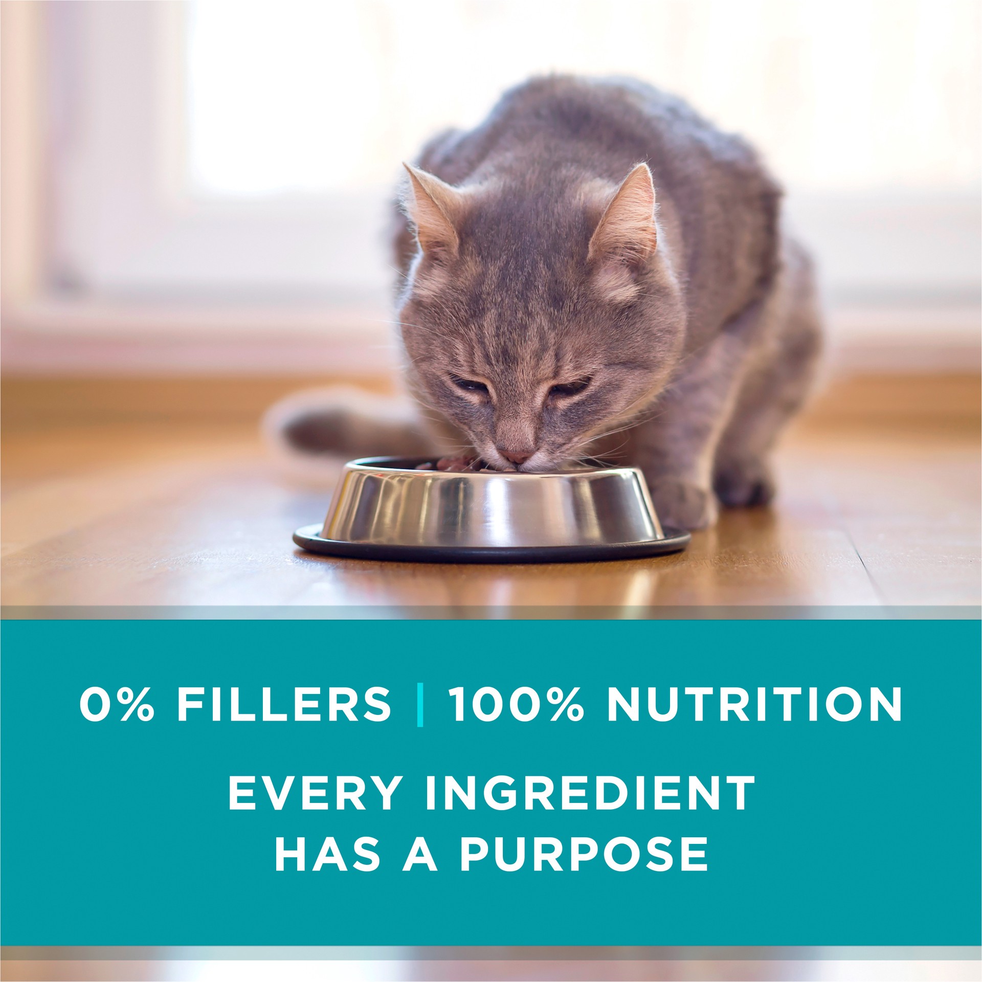 slide 7 of 7, ONE Purina ONE Natural High Protein Cat Food, True Instinct Chicken and Turkey Recipe in Gravy, 3 oz