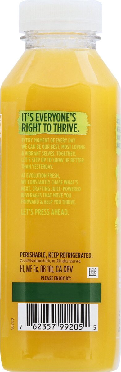 slide 5 of 7, Evolution Fresh Organic Pure Orange Cold-Pressed Vegetable & Fruit Juice Blend 15.2 oz., 15.2 oz