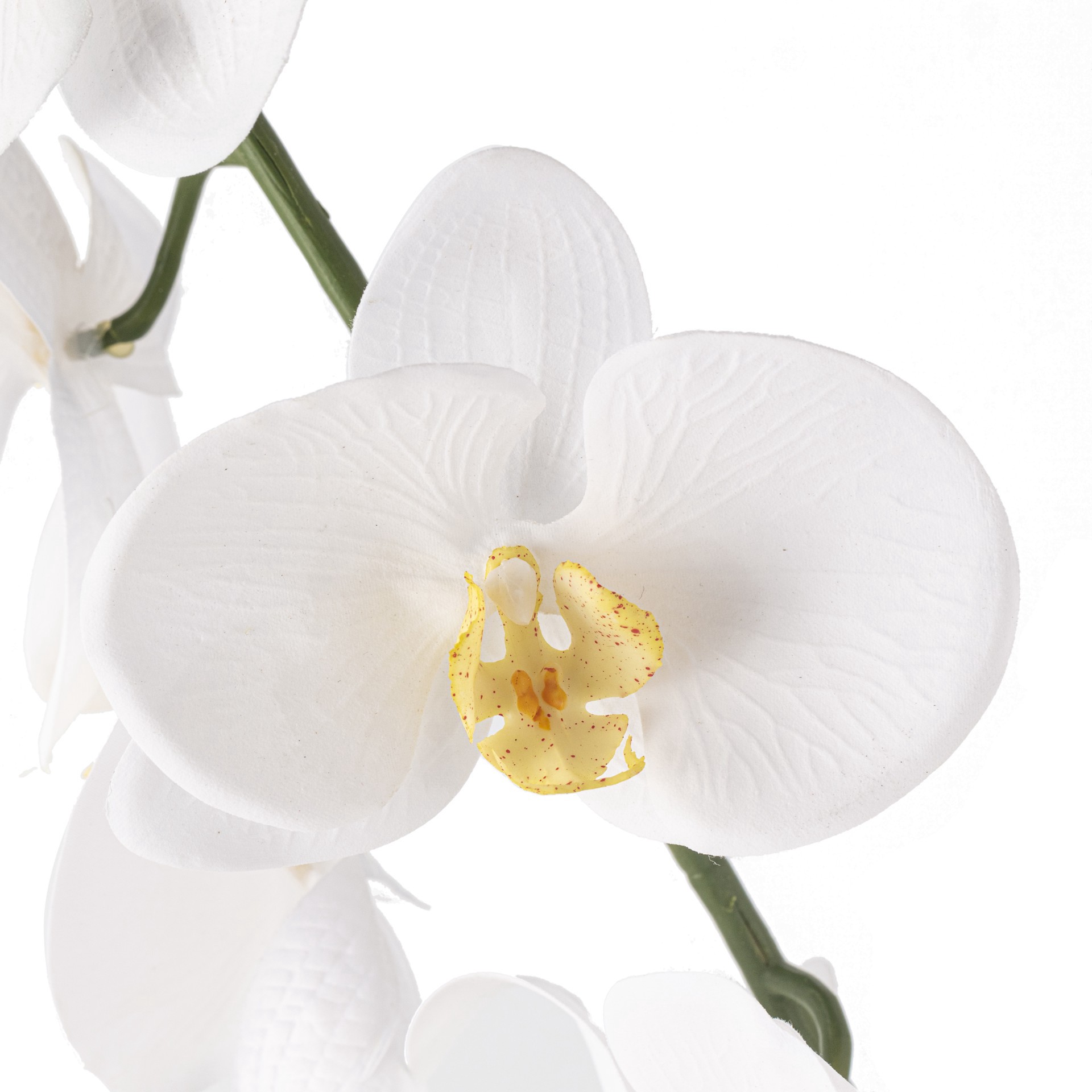 slide 3 of 3, White Orchid Stem By Ashland, 37 in