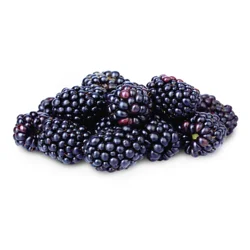 Blackberries
