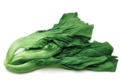 Fresh Gai Choy Mustard