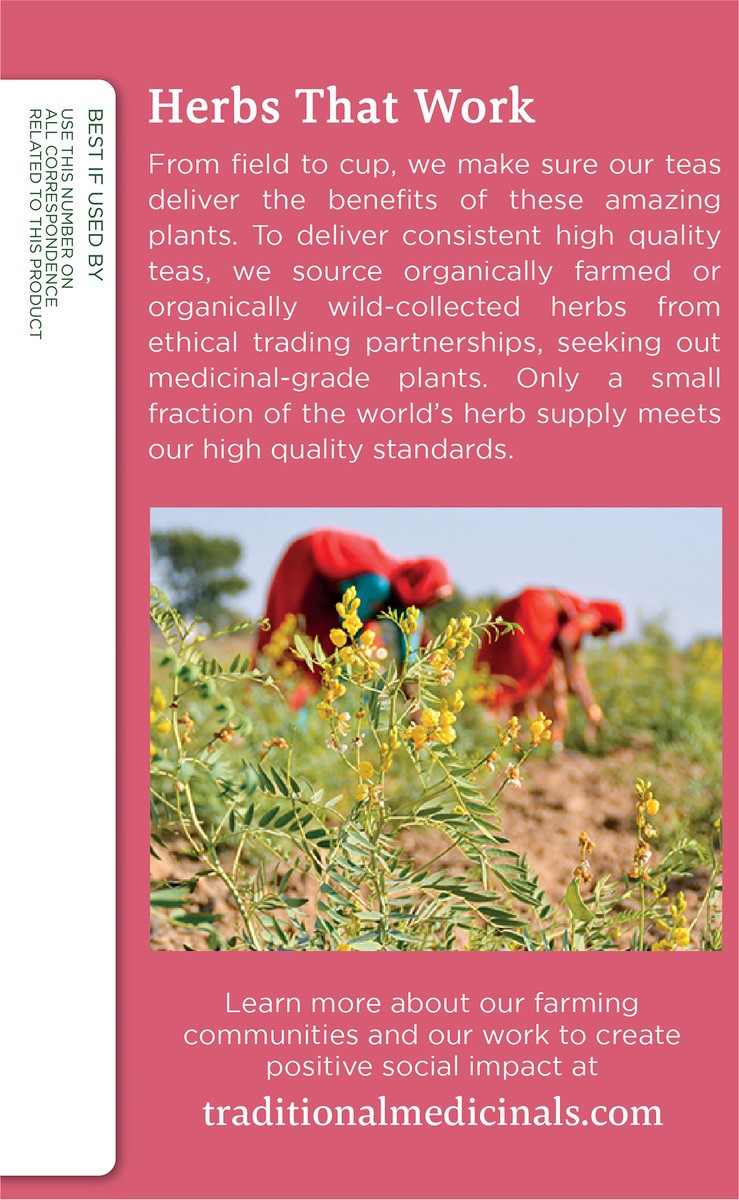 slide 5 of 6, Traditional Medicinals Organic Mother's Milk, Caffeine Free Herbal Lactation Tea, 16 ct