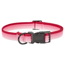 Meijer Dog Collar Pink Bright Stripe, Large
