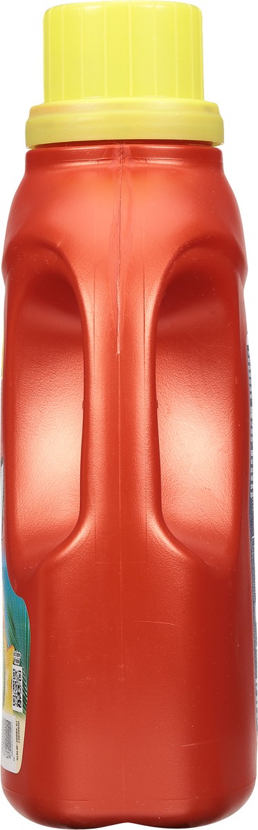 slide 8 of 9, Xtra Laundry Detergent Calypso, 67.5 oz