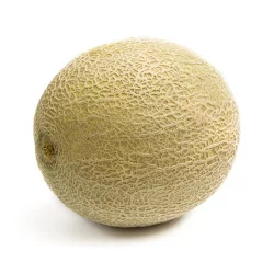 Cantaloupe