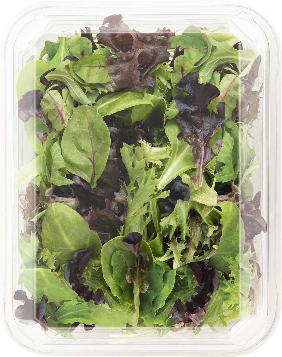 slide 2 of 3, Earthbound Farm Organic Herb Salad, 5 oz