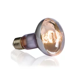 Exo-Terra Swamp Basking Spot Lamp