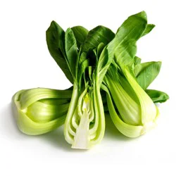 Organic Bok Choy Baby Org