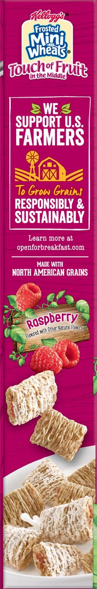 slide 9 of 10, Frosted Mini-Wheats Whole Grain Raspberry Cereal 15.6 oz, 15.6 oz