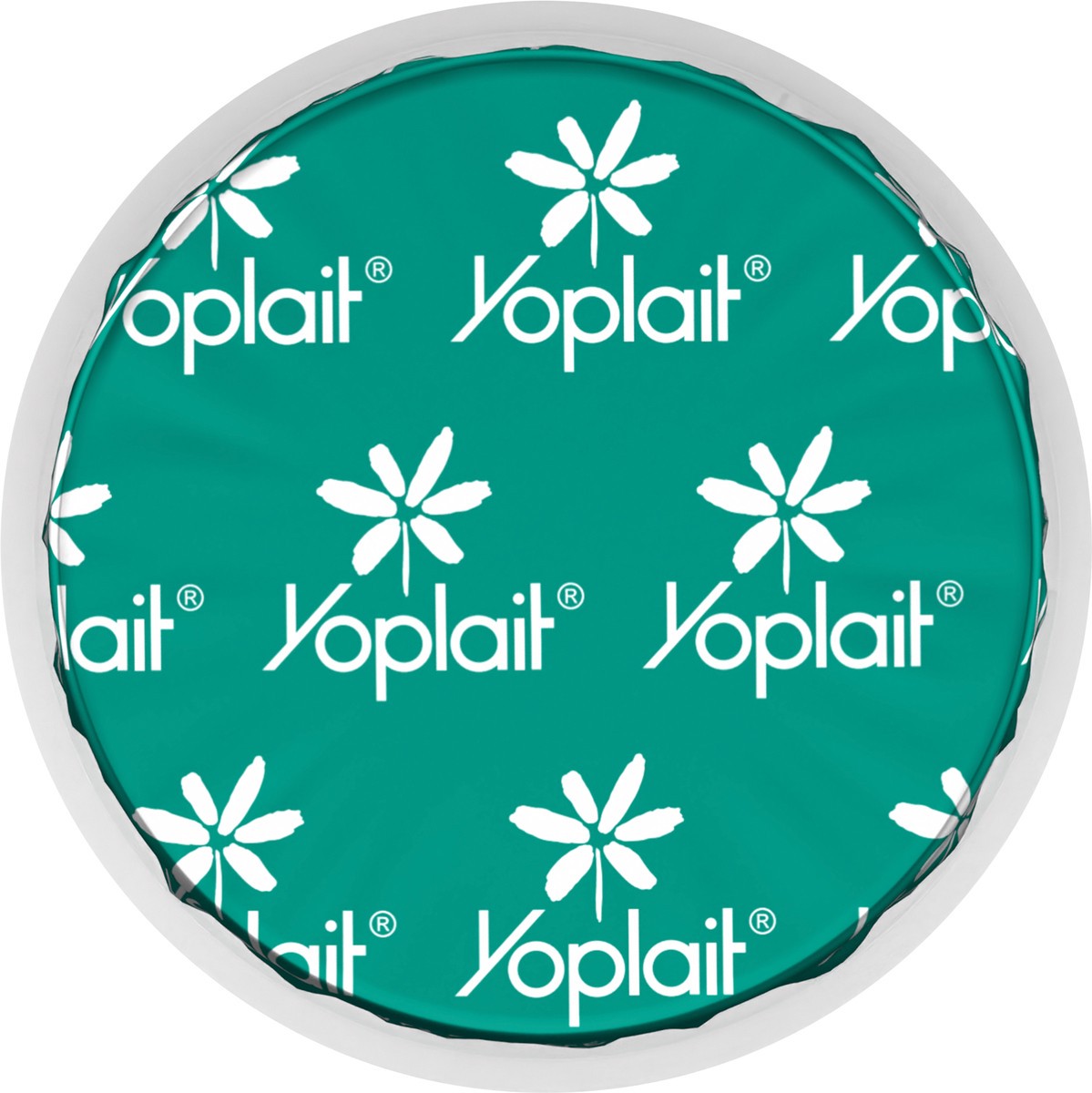 slide 2 of 13, Yoplait Protein Yogurt Cultured Dairy Snack Cup, Vanilla Flavored, Gluten Free Protein Snacks, 5.6 oz, 5.6 oz