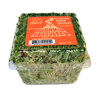 slide 1 of 1, Pyramid Spicy Sprouts, 