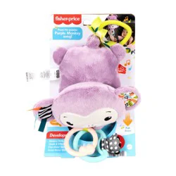 Fisher-Price Sing & Go Purple Monkey