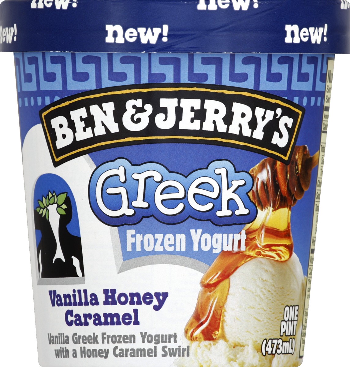 slide 5 of 6, Ben & Jerry's Vanilla Honey Caramel Greek Frozen Yogurt, 1 pint