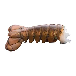 Lobster Tail Raw 14-16 Oz Frozen 1 Count - Each