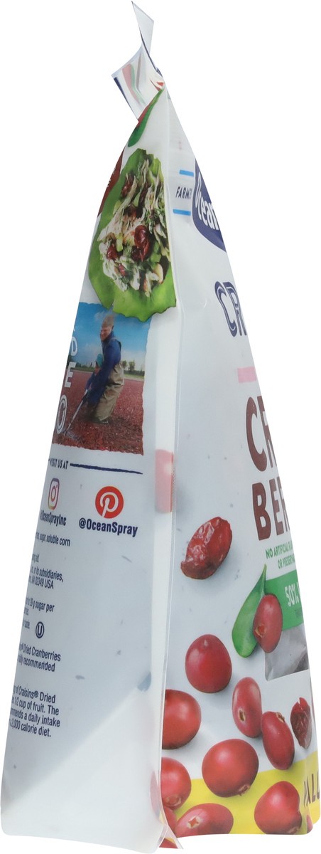 slide 9 of 9, Ocean Spray Craisins 50% Less Sugar Dried Cranberries Value Pack 20 oz, 20 oz