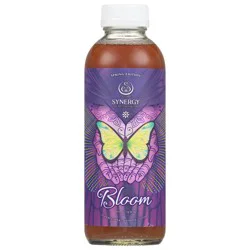 GT's Artist Series Pure Love Kombucha 16 fl oz