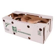 Markon First Crop Portabello Cap Mushrooms