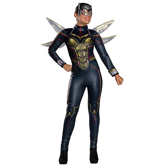 slide 1 of 1, Marvel Ant-Man and the Wasp Secret Wishes Wasp Women's Small Halloween Costume, 1 ct