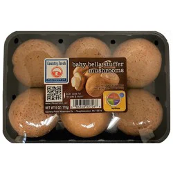 Baby Bella Stuffer Mushroom