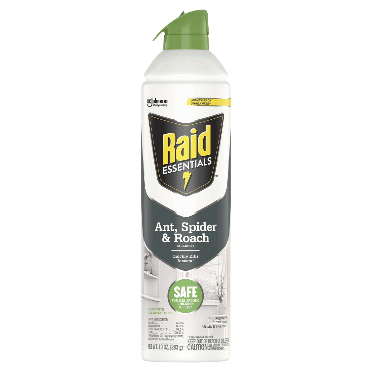 slide 1 of 1, Raid Essentials Ant, Spider & Roach Killer Aerosol - Indoor Insect Killer - 10oz, 10 oz