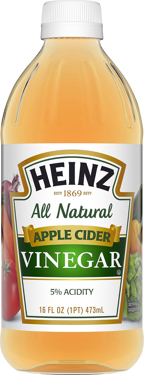 slide 1 of 9, Heinz Apple Cider Vinegar 16 fl oz Bottle, 192 fl oz