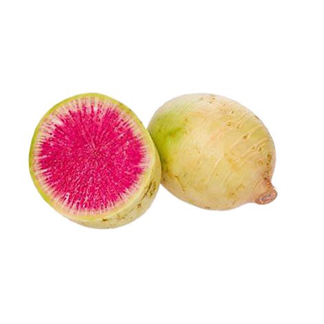 slide 1 of 1, Radish Watermelon, 1 ct