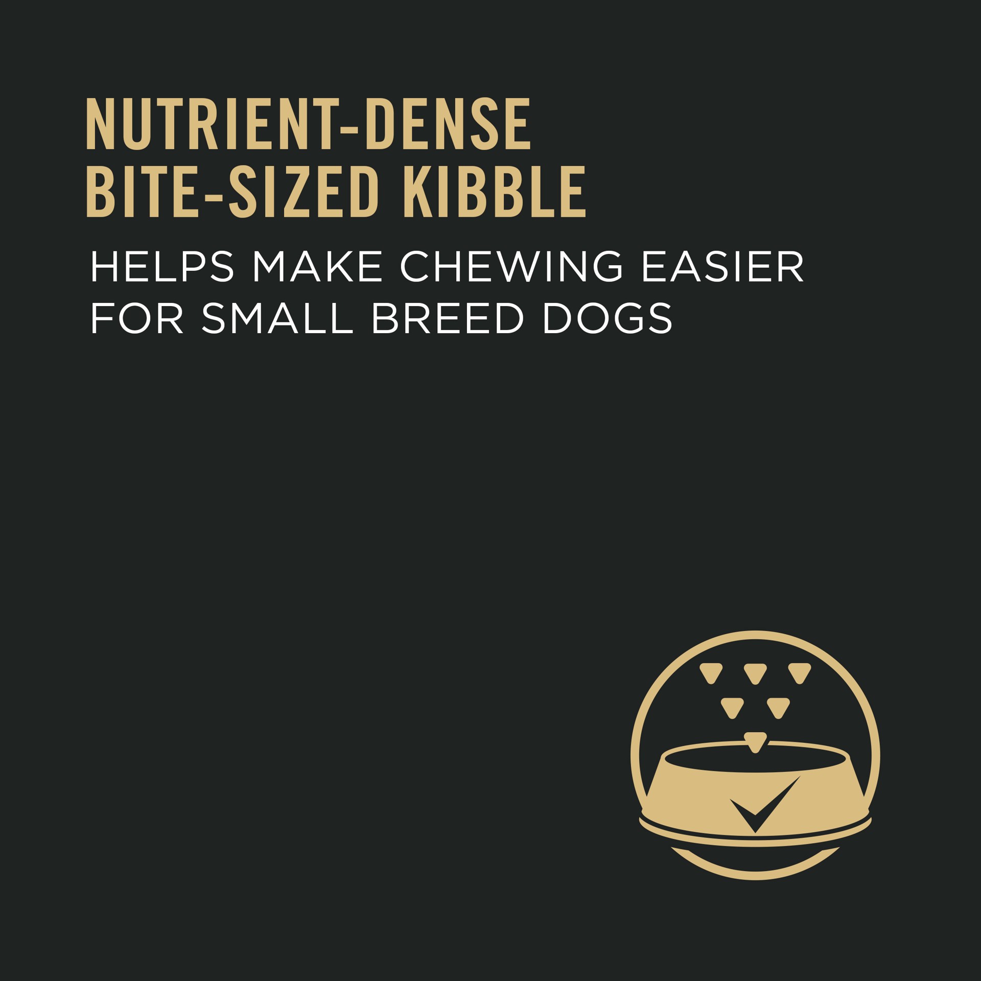 slide 3 of 8, Pro Plan Purina Pro Plan High Protein Small Breed Dog Food, Chicken & Rice Formula, 6 lb